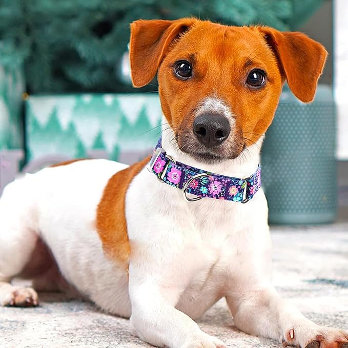 Martingale Dog Collar for Small Medium Large Pet Dogs,No-Slip Escape Proof Choke No Pull Dog Collar for Male and Female Dogs Walking Running Training -Bohemia Flowers L