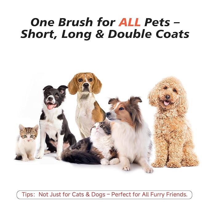 Steam Dog Brush for Shedding & Grooming - Self-Cleaning Deshedding Brush with Spritz Function, Slicker Pet Spray Hair Removal Comb | Defurring Tool for Long and Short Haired Dogs Cats (White)