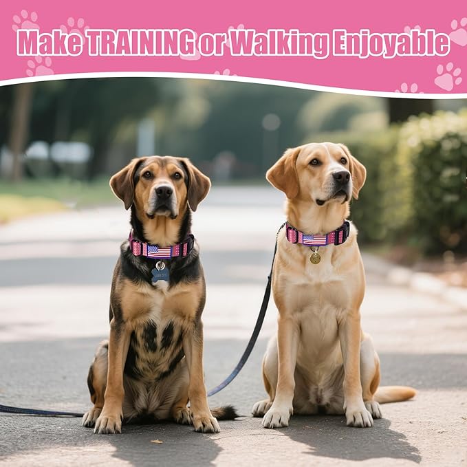 Martingale Dog Collar, Reflective No Pull Training Collar with Quick Release Buckle & USA Flag, Heavy-Duty Nylon, Adjustable for Small Medium Large Dogs (S,Pink with Flag