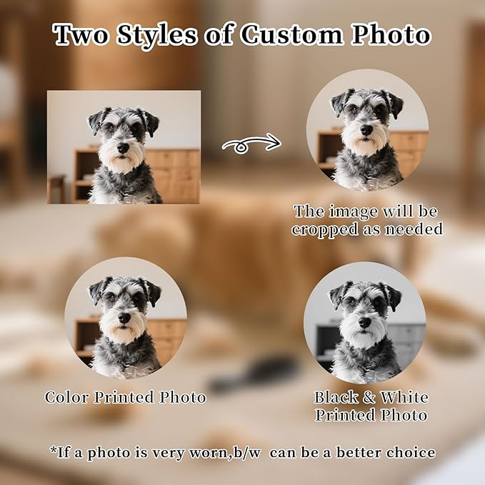 Personalized Locket Keychain Dog Hair Keychain Memorial Pet Fur Keepsake with Name Photo Custom Locket for Ashes Portrait Cremation Jewelry for Pet Loss of Dog Cat Sympathy Remembrance Gift