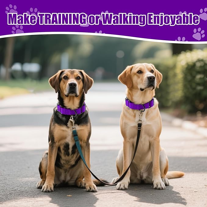 Martingale Collar for Dogs, Adjustable Soft Nylon Dog Collars with Special Design Cute Patterns (Purple, M (1" x 15.5"-19.5"))