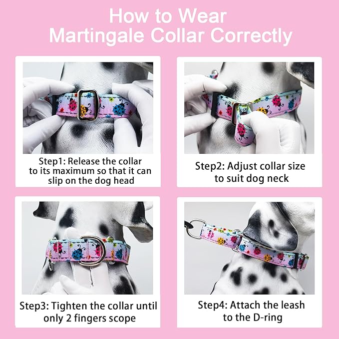 Reflective Martingale Collar for Dogs Nylon Training Collar with No Buckle, No Pull Adjustable Dog Collar for Large Dogs(Gradient Ladybug,L)