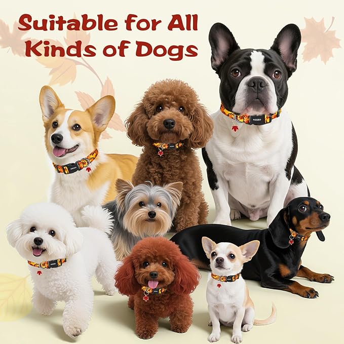 Kazazoo Dog Collar Cute and Soft Nylon Puppy Collar for Boy and Girl, Adjustable Dog Collars for Small Medium Dogs, Maple Leaf-XS