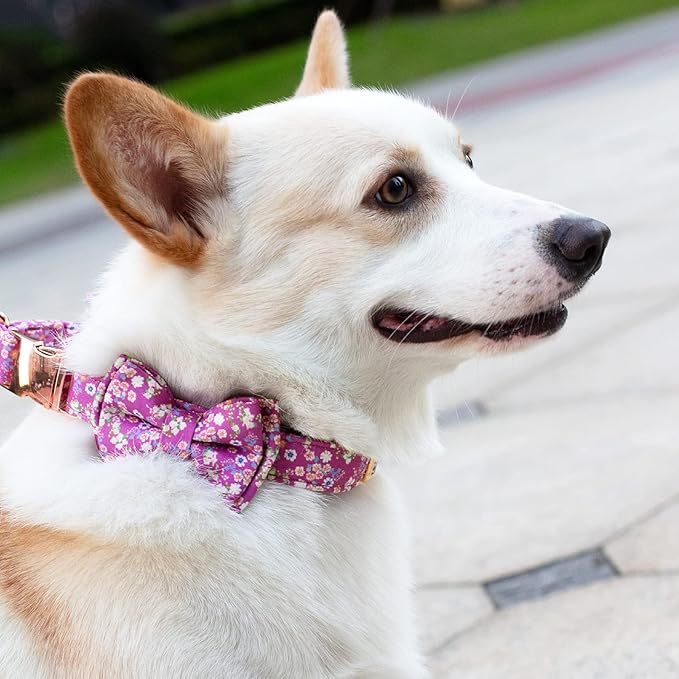 Dog Collar and Leash Set Girls Adjustable Puppy Collars with Floral Bow Tie for Small Medium Large Female Dogs, Purple, S