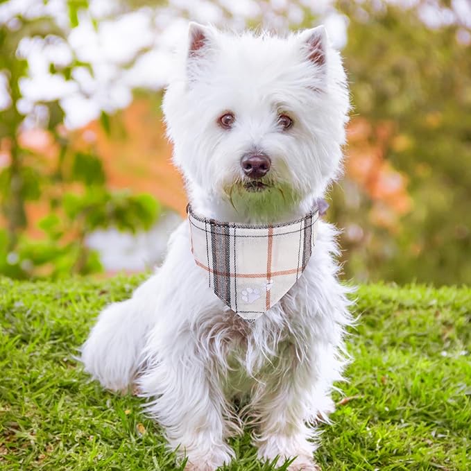 EXPAWLORER Dog Collar and Leash Set - Embroidery Pawprints Plaid Dog Leash and Collars, Cute Bandana and Detachable Collar, Suitable for Small Medium Dogs Girl Boy, Cream S-M