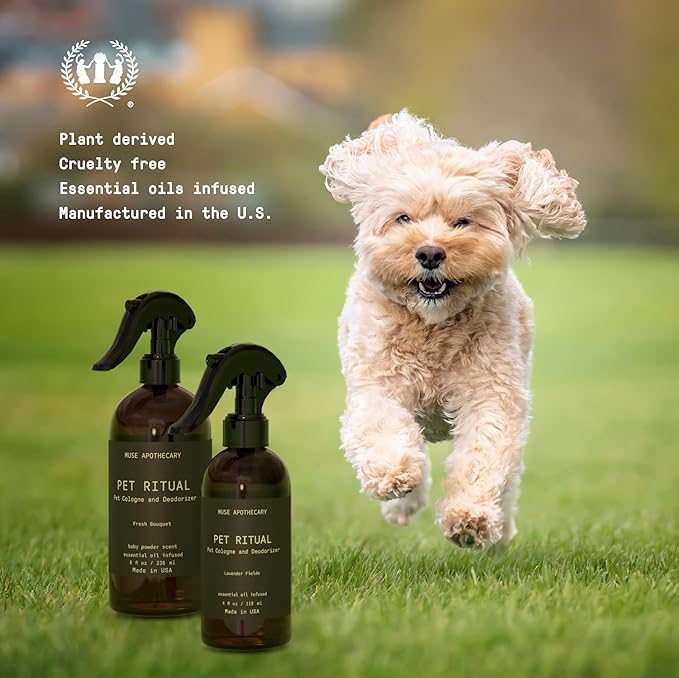 Muse Apothecary Pet Ritual Pet Cologne Spray for Dogs - Dog Perfume Spray Long Lasting After Bath - Pet Perfume for Dogs - Essential Oils Infused - 4oz, Fresh Bouquet