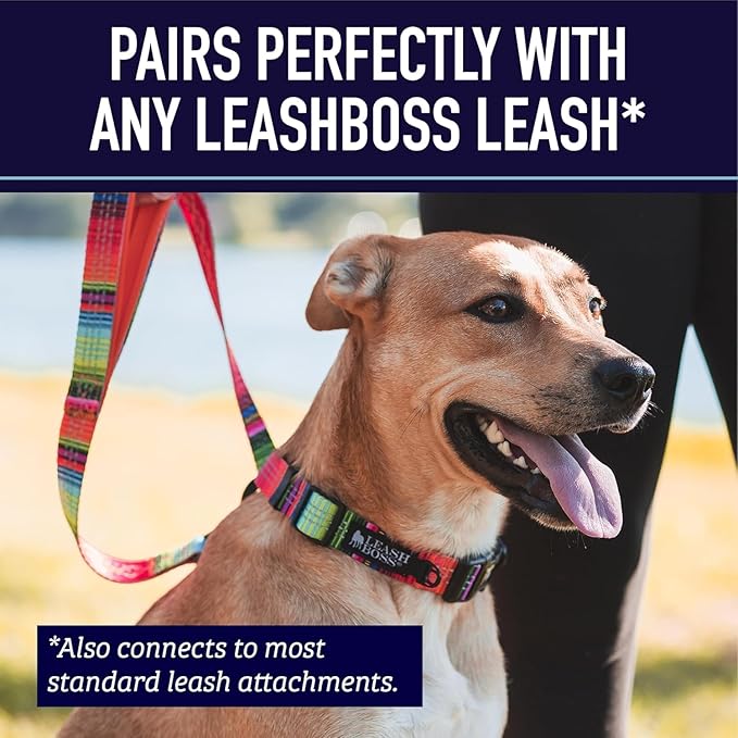 Leash Boss Martingale Collar for Dogs - Steel Chain | Reflective Nylon Dog Collar for Large Dogs, Medium and Small Dogs | No Pull Pet Training Collar Small