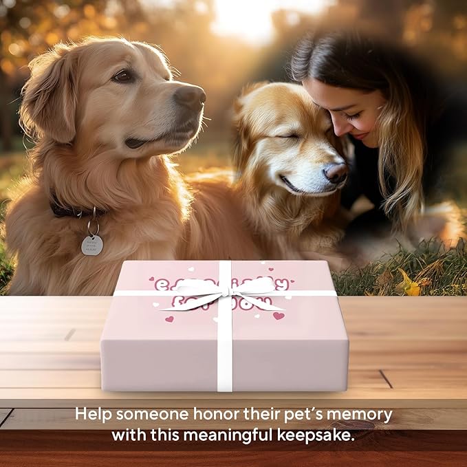 Pet Memorial Frame with Collar Holder – Dog and Cat Loss Remembrance Gift – You Were My Favorite Hello and Hardest Goodbye – Sympathy Keepsake Frame for Pet Lovers