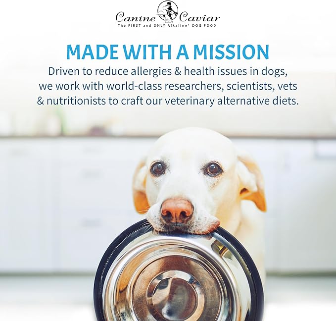 Canine Caviar - Free Spirit: Chicken & Pearl Millet Alkaline Dry Dog Food, Limited Ingredients, Gluten-Free, Based on Science & Research, Veterinary Alternative Diet (4.4 Pound Bag) (Pack of 2)