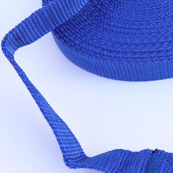 Dog Leash Puppy Obedience Recall Training Agility Lead 30ft, Great for Play, Camping, or Backyard