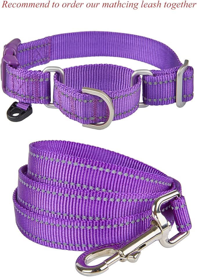 Reflective Martingale Collar for Dogs with Quick Snap Buckle Anti-Pull Nylon Safe Slip Collars for Easy Walking,Purple,Medium