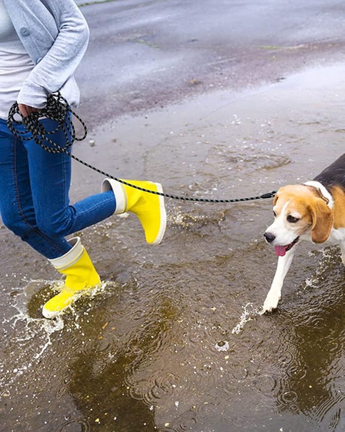 Long Dog Leash for Training - 10FT/16FT/30FT/50FT/100FT, Reflective, Heavy Duty for Large, Medium, Small Dogs - Walking, Playing, Camping, Yard