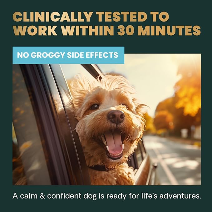 VetriScience Clinically Tested Composure Calm & Confident Chews - Supplement for Dogs with Anxiety, Stress & Fear with L-Theanine for Thunderstorms, Fireworks or Travel, Peanut Butter, 60 Count
