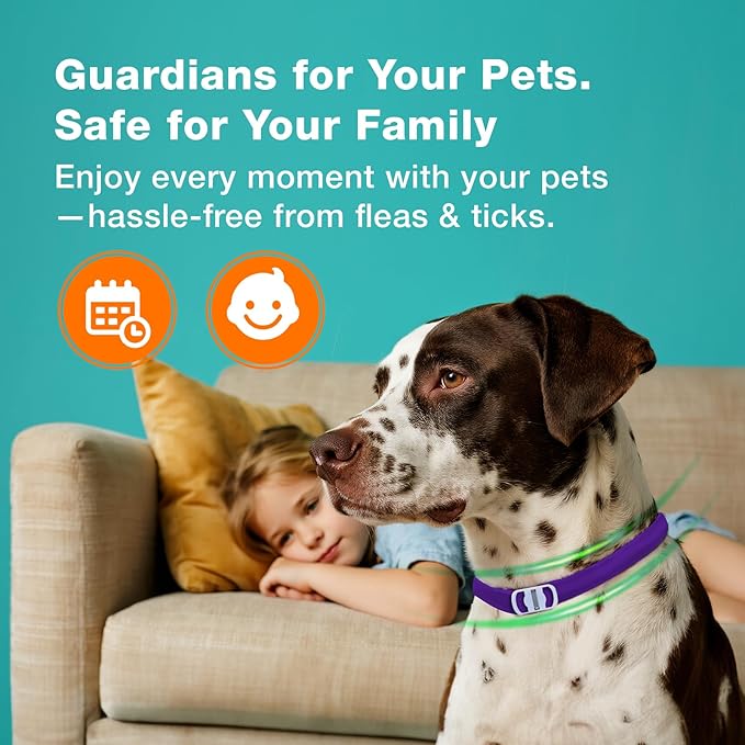 ZingZap Flea & Tick Collar 2-Pack Purple, Protects from Biting Insects, Adjustable Fits Both Dogs & Cats, Built-in Plant Based Formula, Slow Release Lasting Protection, Waterproof