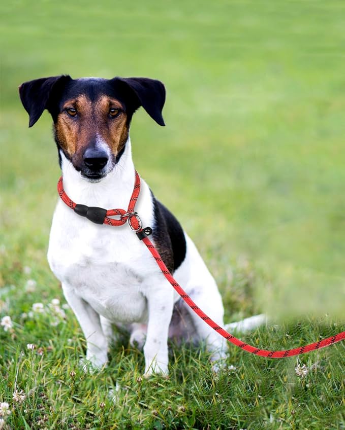 TagME Slip Leads for Dogs that Pull, 6 FT No-Pull Training Leash with Lock, Escape-Proof Design, Reflective & Padded Handle for Medium Dogs, Red