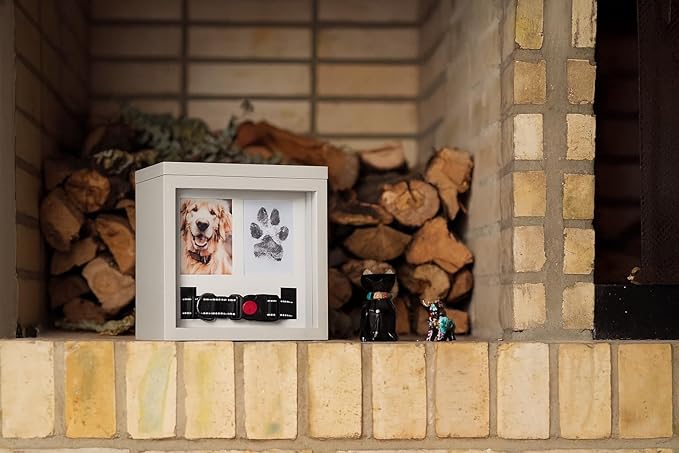Dog Urn for Ashes, 4 Customizable Displays with Paw Print Ink Kit and Flannel Bag, Pet Urns for Dogs Ashes, Pet Cremation Box, Cat Urn for Ashes, Dog Ashes Keepsake (White)