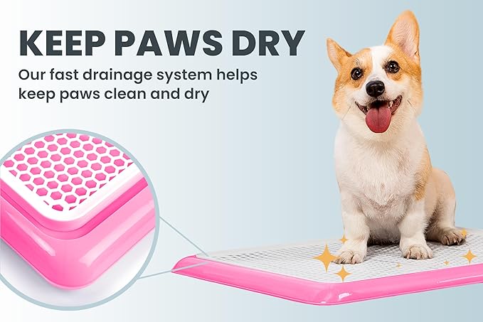 Pet Awesome Dog Potty Tray/Puppy Pee Pad Holder 25”x20” Indoor Wee Training for Small and Medium Dogs