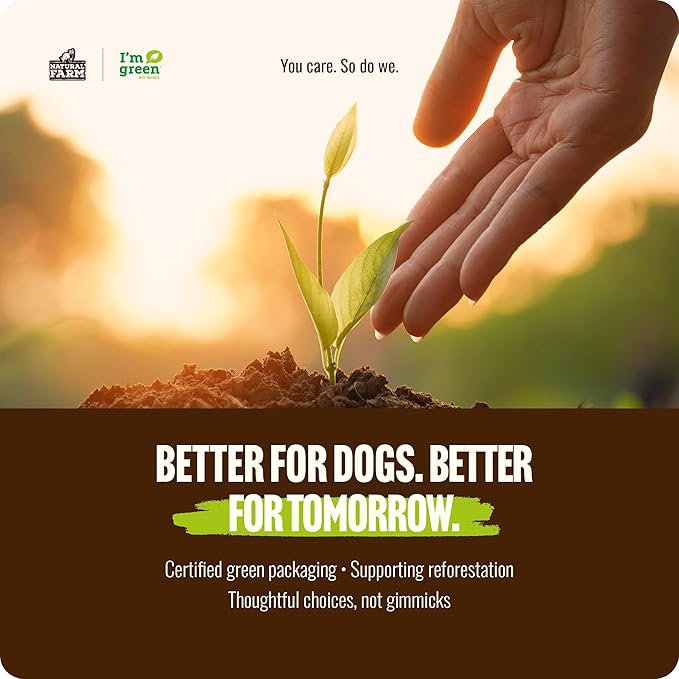Natural Farm Odor-Free Select Bully Sticks, (12-Inch, 1-Pound), Hand Selected for Consistent Thickness, 100% Beef Pizzle Dog Chews, Fully Digestible, High Protein, Best Dental Treats