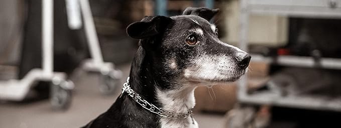 Herm Sprenger Stainless Steel Prong Dog Training Collar with Swivel Ultra-Plus Pet Pinch Collar No-Pull Collar for Dogs Made in Germany 2.25mm x 16in Small