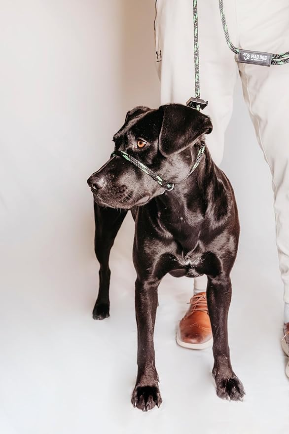 Mad Dog Products Easy Leader Dog Leash 1/2" x 15' Royal Signature Rope - Made in USA