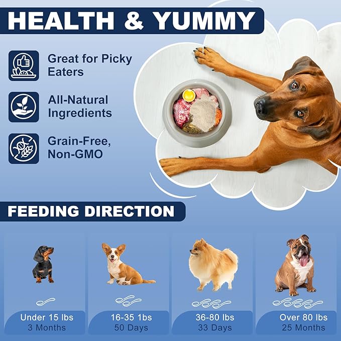 Disc Supplement for Dogs – Back & Spine Support with Chondroitin and MSM, IVDD Dog Supplies, Paralyzed Dog Supplies, Ideal for Dachshunds, Corgis, Frenchies & More, 3.5 oz