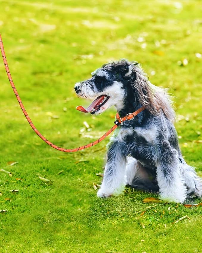 TagME Slip Leads for Dogs that Pull, 6 FT No-Pull Training Leash with Lock, Escape-Proof Design, Reflective & Padded Handle for Medium Dogs, Orange