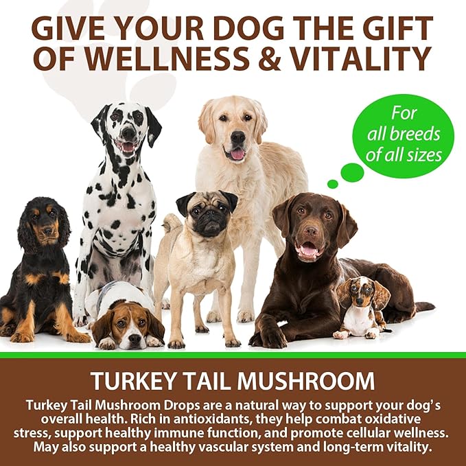 Turkey Tail Mushroom for Dogs, Mushroom Blend, Turmeric & Probiotic for Immune, Digestive & Joint Support, Turkey Tail for Dogs, 60ml