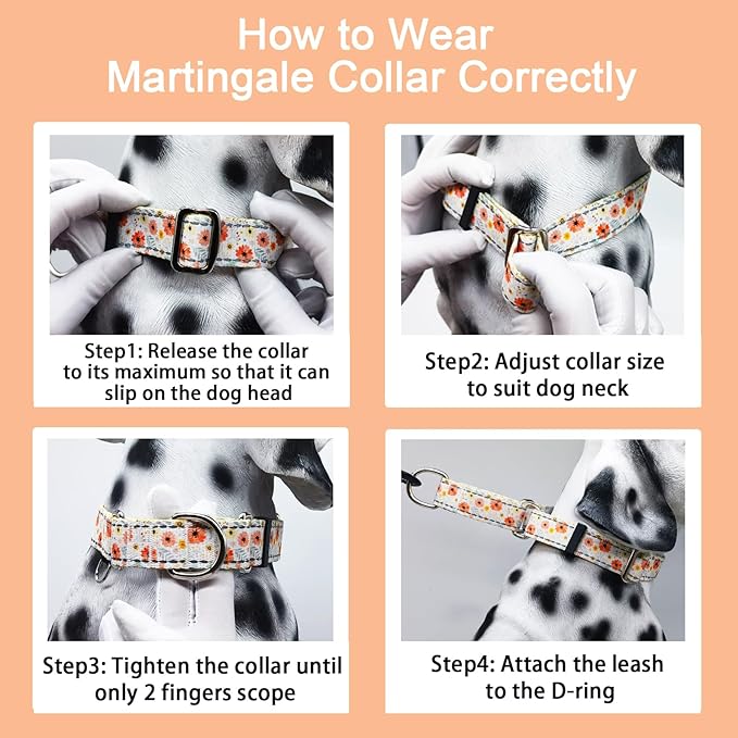 Reflective Martingale Collar for Dogs Nylon Training Collar with No Buckle Cute Floral No Pull Dog Collar for Large Dogs(White Flower,L)