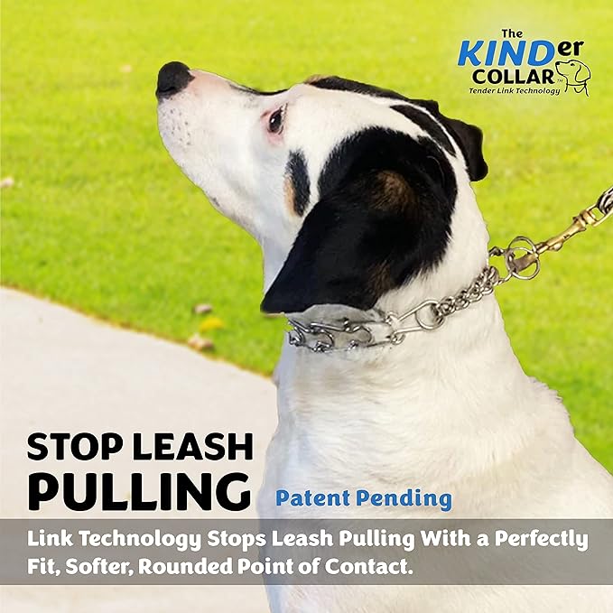 Best Dog Training Collar Adjustable Dog Collars for Medium Dogs to Large (3.0 mm) Width Stainless Steel Best Alternative to Dog Collar (3.0 MM * Neck Size Up to 21")