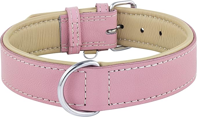 Riparo Pink Dog Collar, Puppy Collar, Leather Dog Collar with Dog Tag Holder, Small Dog Collar for Small Dogs (S: 0.75ā Wide for 10ā-13.5ā Neck, Pink)