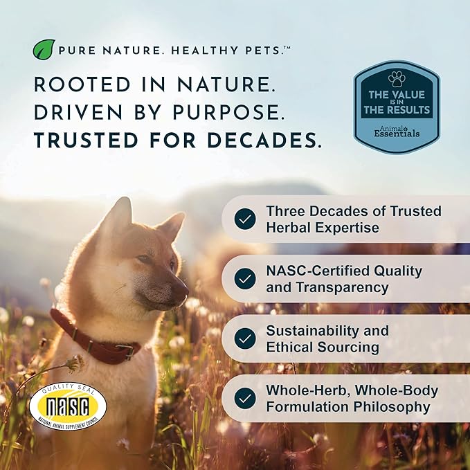 Animal Essentials Super Immune - Dog & Cat Immune Support for Puppies with Olive Leaf Extract & Echinacea, Olive Root for Dogs, Supports Respiratory Health & Overall Wellness - 1 Fl Oz