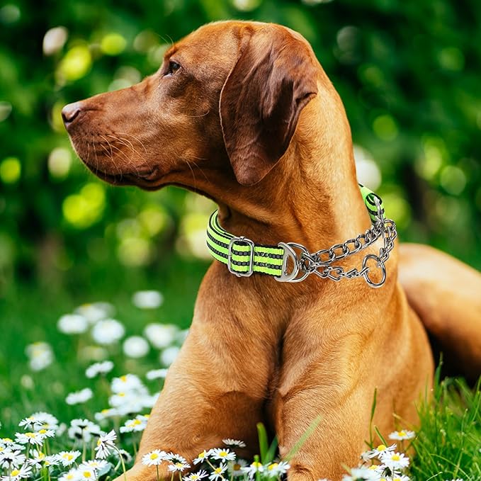 Reflective Martingale Dog Collar - Heavy Duty No-Pull Training Collar with Dual D-Rings, Adjustable Choke Chain Design & Soft Padded for American Bulldog Bullmastiff - Green XXL