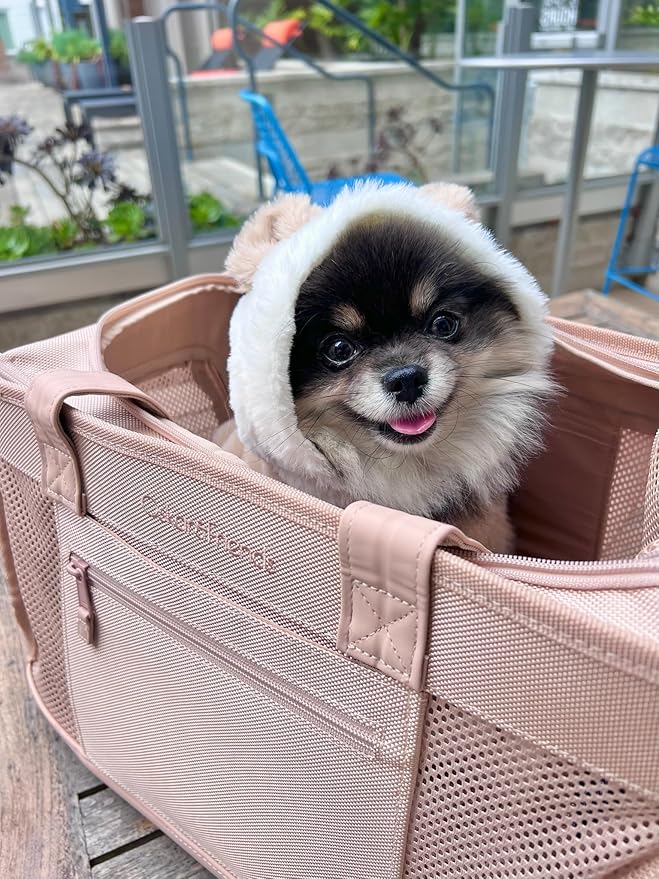 OSKAR&FRIENDS Airline-Approved Pet Carrier for Small Dogs & Cats (Up to 20 lbs) – Soft-Sided Travel Carrier with Luggage Strap, Cozy Sherpa Pad, Mesh Panels & Safety Tether