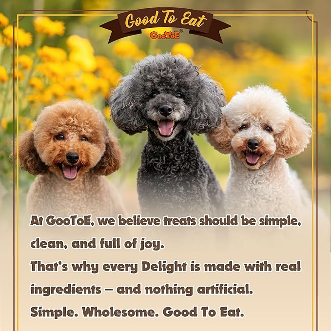 Gootoe Turkey Tendons for Dogs – All-Natural, Hypoallergenic Dog Treats, Rawhide Alternative, Long Lasting Puppy Chews, Healthy Dog Treats for Small Breeds, Strips, 16 oz Pack (1 lb)