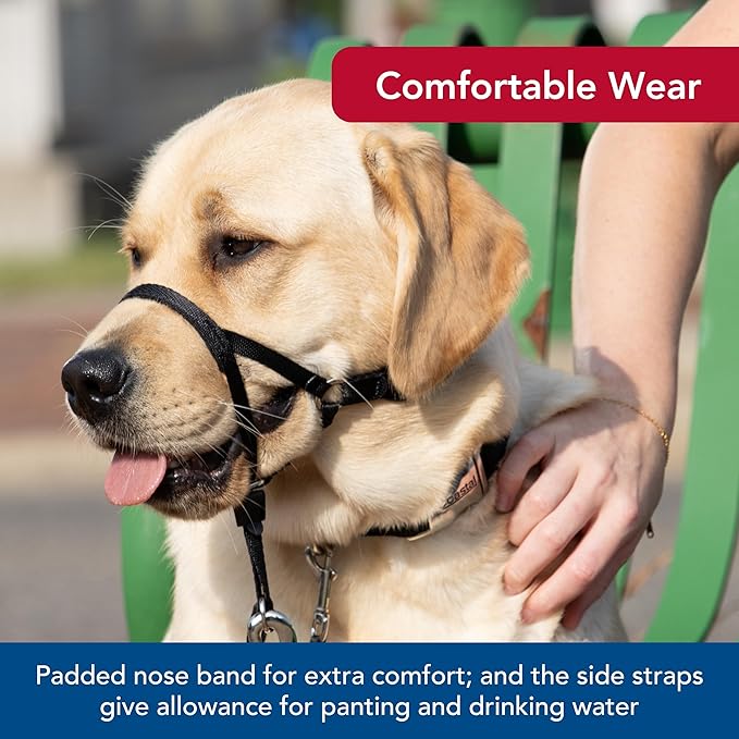 Coastal Pet Walk 'n Train Dog Head Halter - Head Colllar Dog Leader - No-Pull Pet Harness - Quick-Drying Polyester - Black - Medium