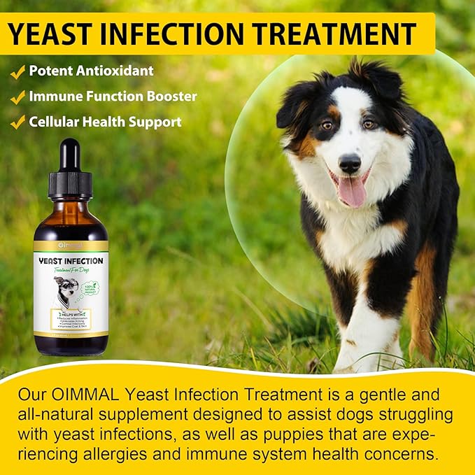 Dog Yeast Infection Treatment, Natural Yeast Infection Treatment for Dogs, Supports Dog Ear Infection Treatment and Allergy Itch Relief, Reduces Inflammation,Improve Coat & Skin, Bacon Flavor, 2 Fl Oz