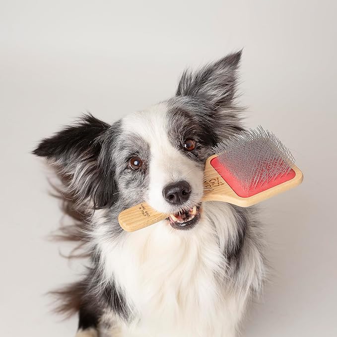 WIDU - Brush for Dogs and Cats, Ideal for Medium and Large Pets with Long Hair, Professional Carder in Ash Wood, Handmade in Italy - 21.5 x 9.4 cm, with 24 mm Long Teeth and 45° Inclination