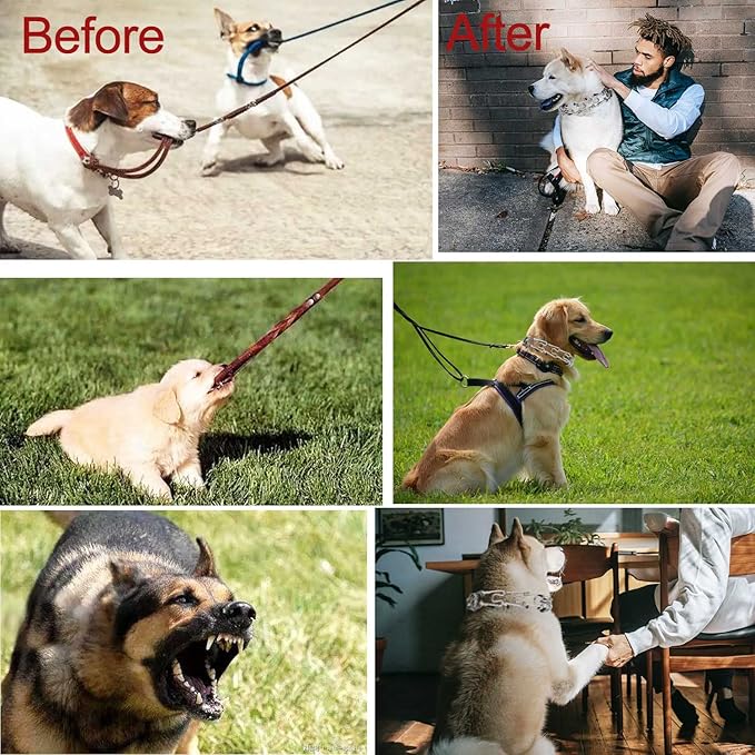 Darkyazi Durable Pinch Collar Stainless Steel Dog Adjustable Pet Training Collar for Medium Large Dogs (Small (Pack of 1), Silver)