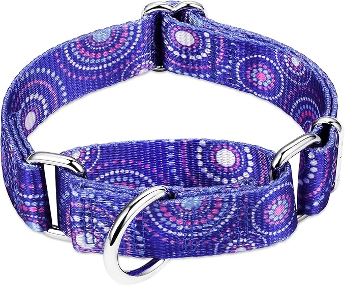 Martingale Collar Dog Collar No Pull Pet Collar Heavy Duty Dog Martingale Collars Silky Soft with Unique Pattern for Medium and Large Dogs (Medium, 1 Inch Wide, Firework Dots -Royal Blue)