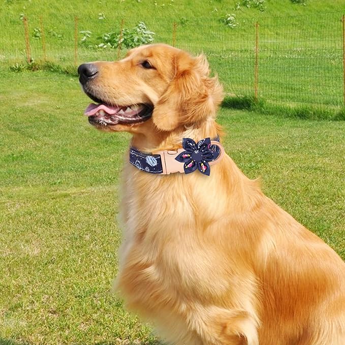 Dog Collar and Leash Set Adjustable Girls Puppy Floral Collars with Bow Tie for Small Medium Large Dogs(L, Blue Planet)