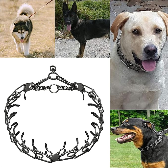 Stainless Steel Prong Pinch Collar for Dogs, Adjustable Training Collar with Quick Release Buckle for Small Medium Large Dogs (Silver, 22")