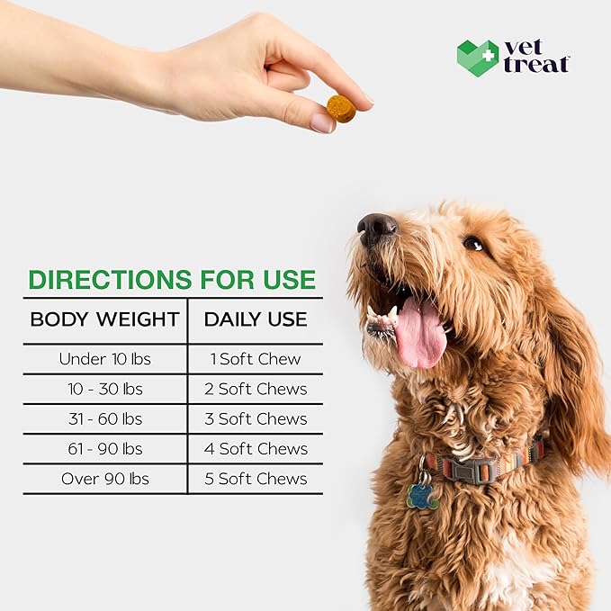 Dog Multivitamin Chewable with Glucosamine & Salmon Oil – Made USA – Puppy & Senior Supplement – 120 Chews– Daily Wellness Support for Joints, Immune System, Skin & Coat, Heart & Digestion