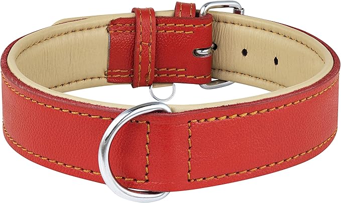 Riparo Red Dog Collar, Dog Collars for Medium Dogs, Leather Dog Collar for Medium Dogs (M: 1" Wide for 13.5ā-17.5ā Neck, Red)