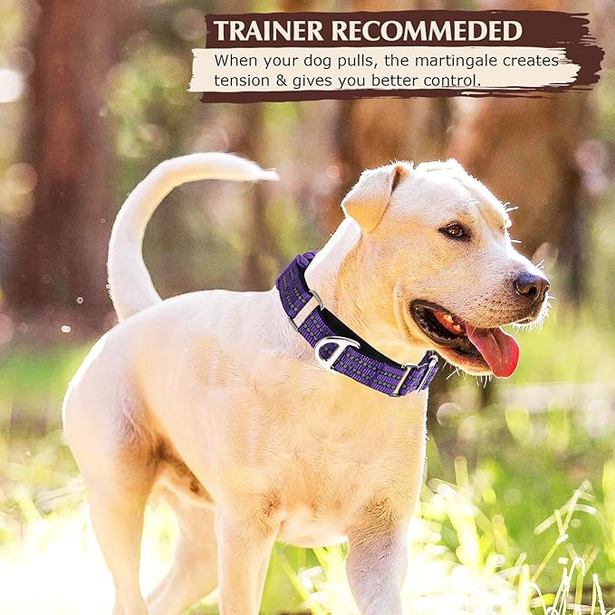 Martingale Collar for Dogs - Reflective Nylon with Padded Comfort & Quick Release Buckle - No Slip Choke Heavy Duty Collar for Safe Training, Walking & Nighttime Use Purple S