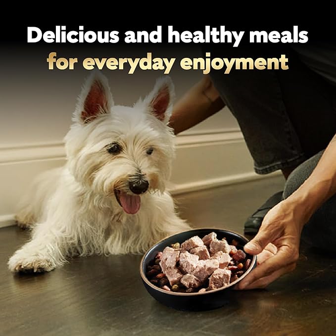 Cesar Wet Dog Food Classic Loaf in Sauce, Duck Recipe, Oven Roasted Chicken Flavor, Grilled Chicken Flavor, and Turkey Flavor, 3.5 oz. Easy Peel Trays, Variety Pack, 24 Count