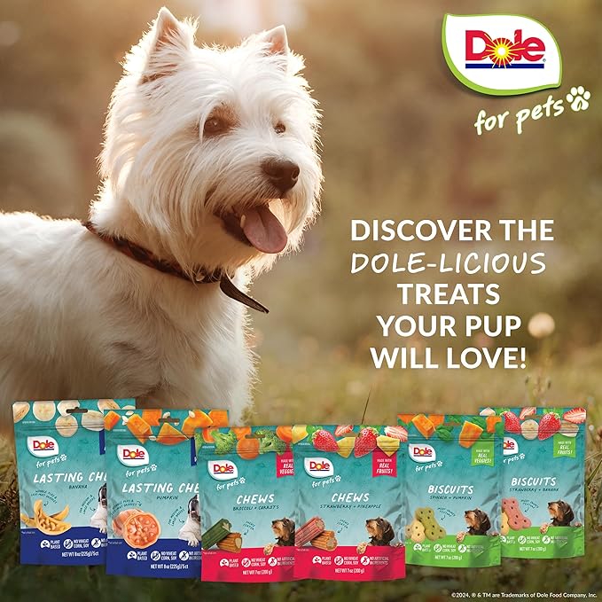 Dole for Pets Dog Chews, Assorted Broccoli + Carrot Vegetable-Flavored Treats, No Artificial Colors Flavors or Preservatives, No Wheat Corn Soy, Plant Based Dog Treats, 7.05 Oz Bag