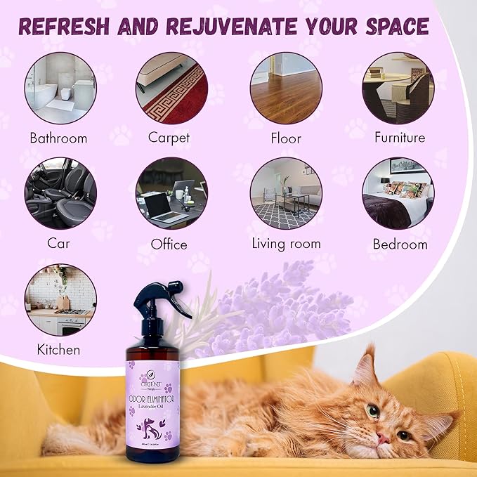 Pet Odor Eliminator Spray with Lavender Fragrance - Smelly Odor Remover & Deodorizer - Dog & Cat Stain Cleaner for Carpet, Bathroom, Car, Home & Office - 600ml