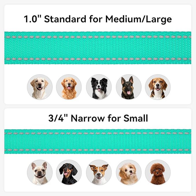 Joytale Dog Leash, 6 FT Double-Sided Reflective, Padded Handle Nylon Heavy Duty Leashes for Small Dogs Walking, Teal