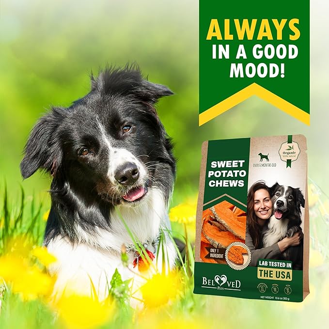 Beloved Pets Dog Treats Sweet Potato Chips 10.6 oz - All Natural Pet Snack Chews - Grain Free & Human Grade Dried Snacks in Bulk - Best Jerky for Training Small & Large Dogs