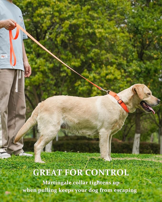Waterproof Martingale Collar for Dogs,Easy to Clean Dog Collars with Safety Quick Release Buckle,Rubber Collar for Medium Large Dogs Walking Training (Orange, M (16.5-20.8inch))